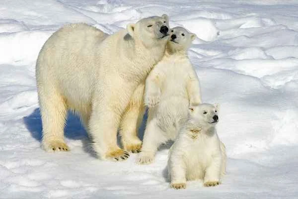 2024092820866912.jpg 5.jpg