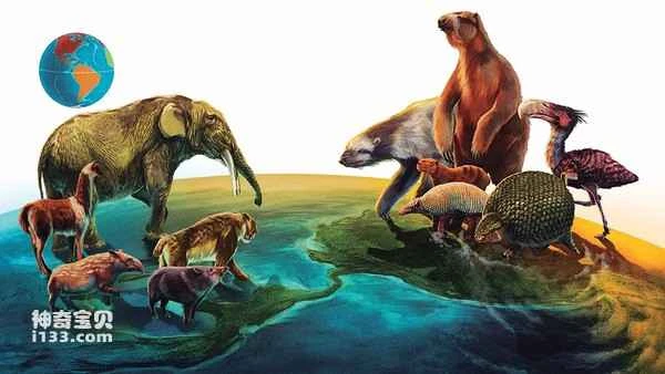 The world's ten most extinct animals