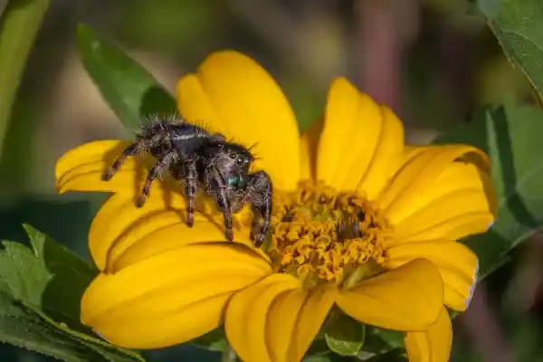 2025072310168147.webp 4.webp