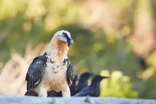 2025083068981846.webp 14.webp