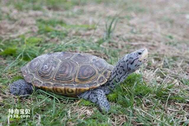 2023051117177611.jpg 33.jpg