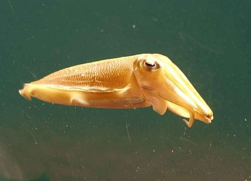 2024111774236304.jpeg 2.jpeg