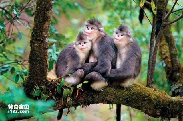 2023042094830928.jpg 4.jpg