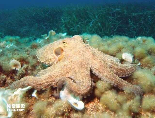 2023052513975064.jpg 2.jpg