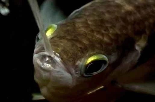 2024111484993509.jpg 3.1 (1).jpg