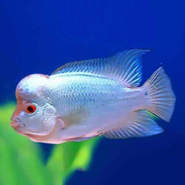 2024111521349763.jpg 4.jpg