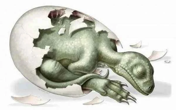 1661499286186724.jpg 4.jpg