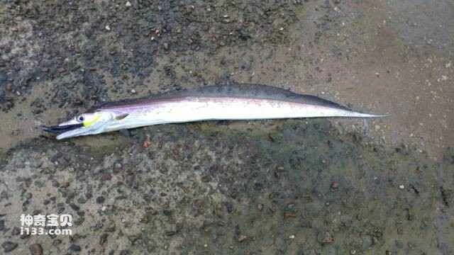 2023051624647001.jpg 6.jpg