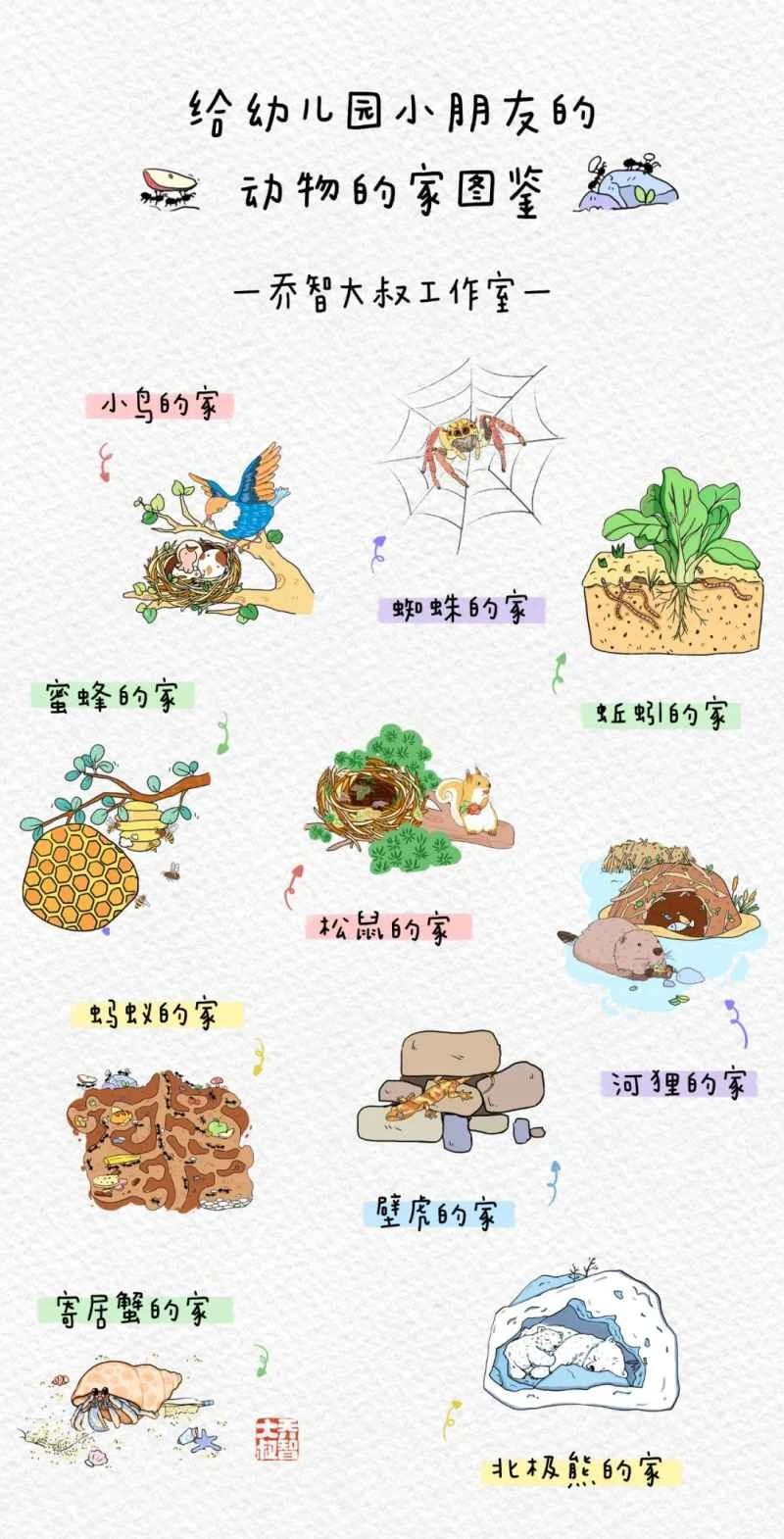 An illustrated guide to "Animal Homes" for kindergarten children.