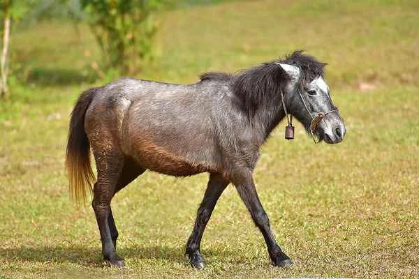 2024092981971194.jpg 2.jpg