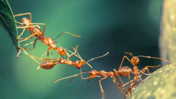 2024101787228685.jpg 3.jpg