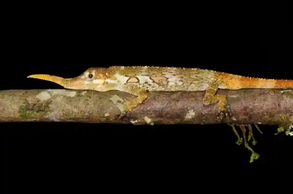 2025072885516884.webp 7.webp