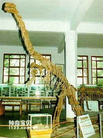 Physical characteristics and living habits of Lufengosaurus
