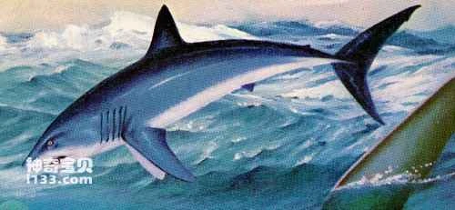 The story of high-level fish wearing nomadic clothing and riding horses.