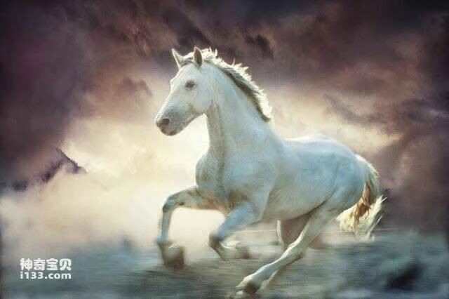 2023052920085296.jpg 4.jpg