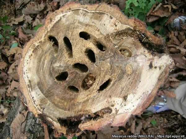 2024042694224339.jpeg 1010.jpeg