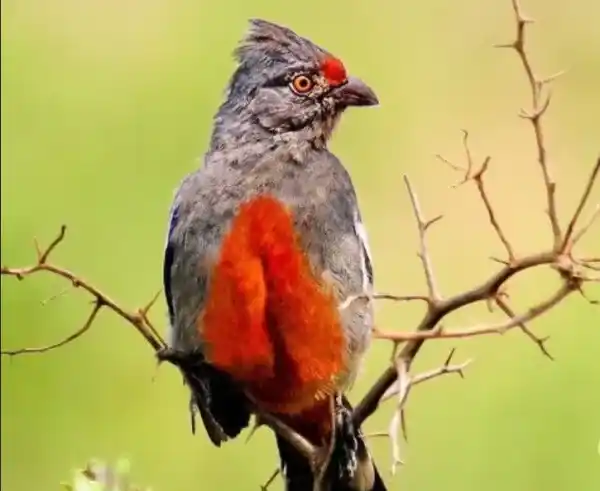 2025091821084094.webp 18.webp