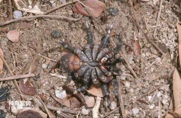 2024012383663999.jpg 2.jpg