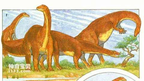 Physical characteristics and lifestyle of Plateosaurus (the earliest herbivorous dinosaur).