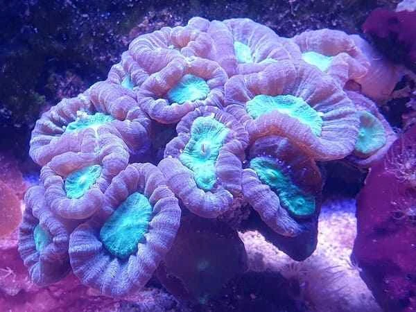 2023121583107262.jpeg 10.jpeg