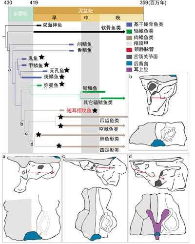 1663053193113844.jpg 2.jpg