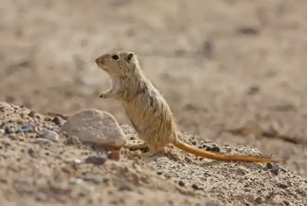 2025073031004543.webp 7.webp