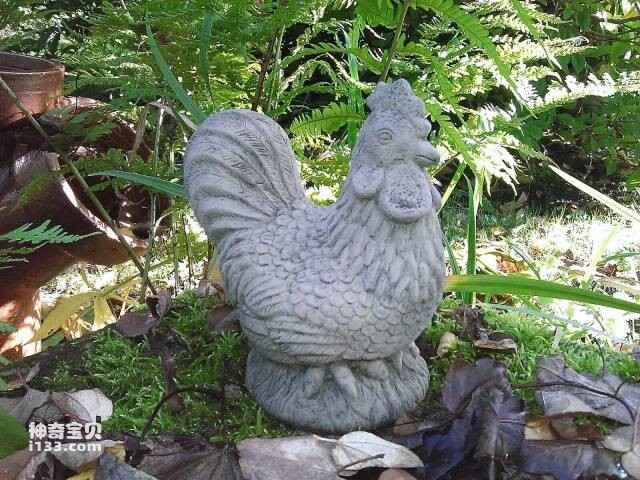 2023060782699363.jpg 10.jpg