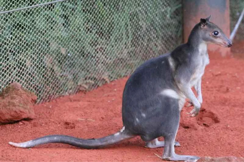 2025050621029437.jpg 2.jpg