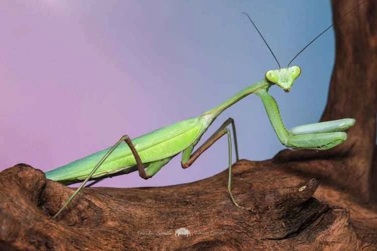 2025101312655340.jpg 12.jpg