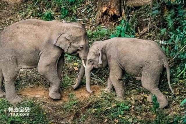 2023050518605505.jpg 3.jpg