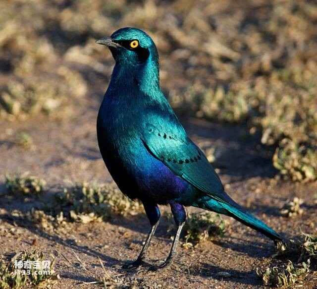 2023060416232909.jpg 4.jpg