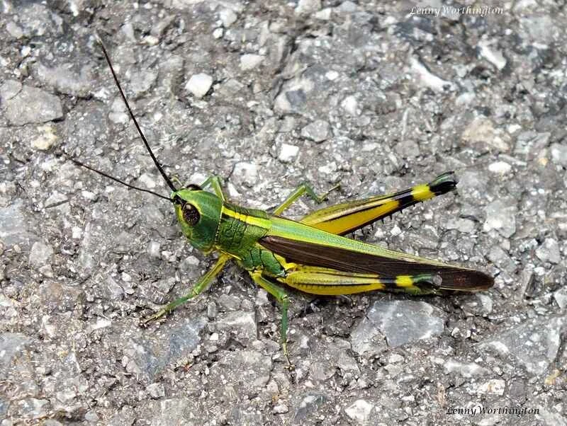 2025011312361726.jpg 6.jpg