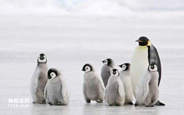 2023060511527471.jpg 9.jpg