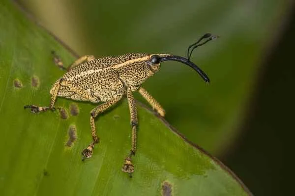 2024042266578932.jpeg 112 (1).jpeg