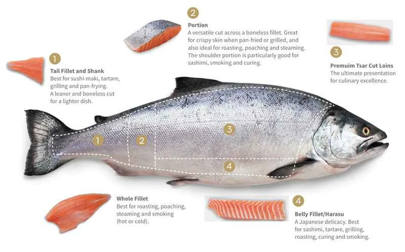 Top 10 World's Top Salmon