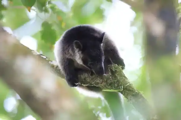 2025050670473216.webp 9.webp