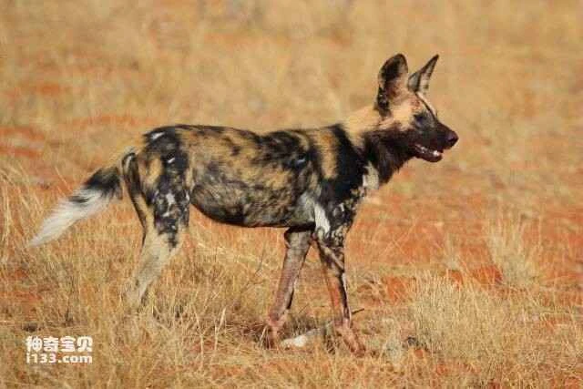 2023060115526602.jpg 20.jpg