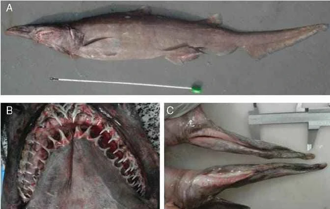 2025042521153432.jpg 55.jpg