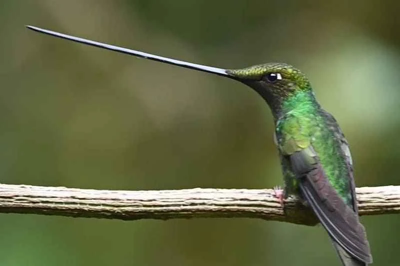 2025041064478318.jpg 7.jpg