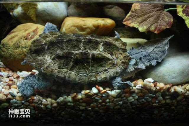 2023051162492965.jpg 99.jpg