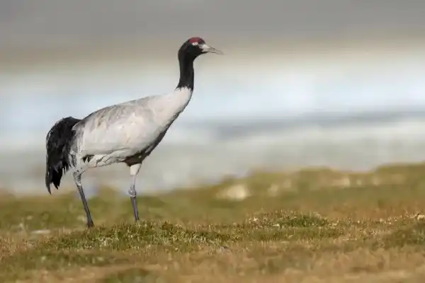 2025123120000722.webp 11.webp