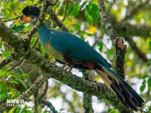 2023060420799624.jpg 1010.jpg