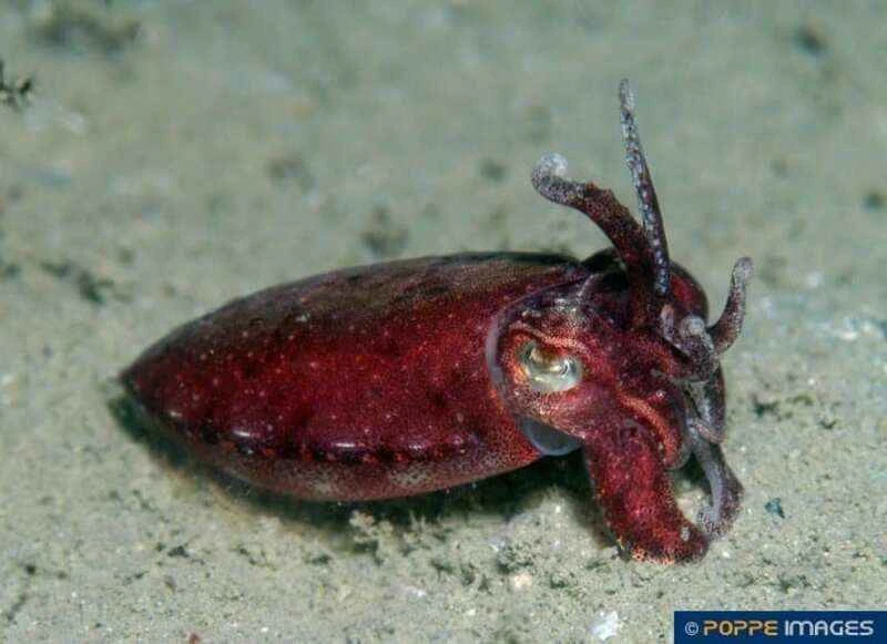 2024111725508756.jpg 7.jpg