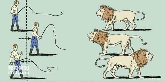 How to tame a lion (detailed explanation)