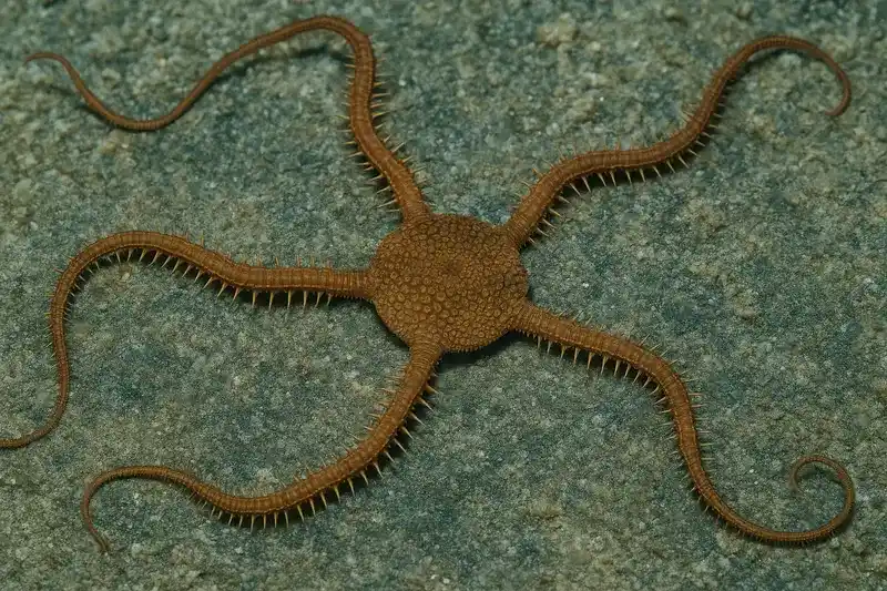 2025052614474147.webp ttrkk-izz2b.webp