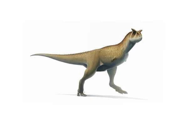 Dinosaurios in Argentina - Carnotaurus sastrei
