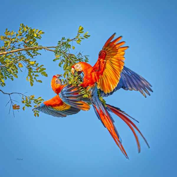 2024121712515545.jpeg 3.1.jpeg