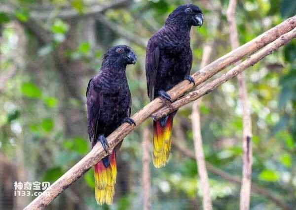 2023110314600934.jpg 8(1).jpg