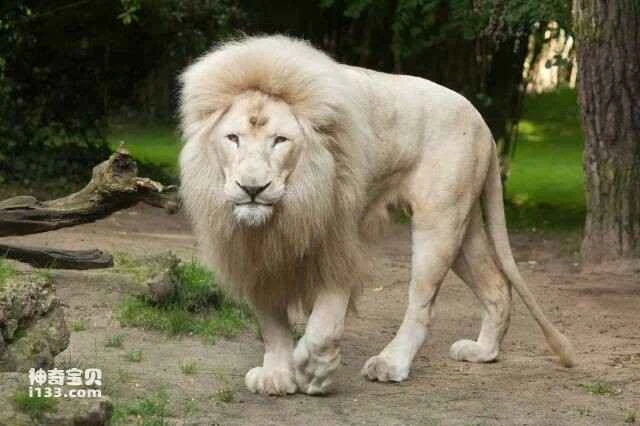 2023053012213297.jpg 6.jpg