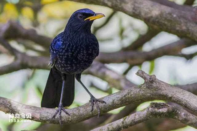 2023060471024609.jpg 7(1).jpg